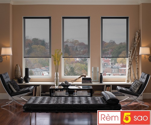 rèm cuốn giá rẻ3